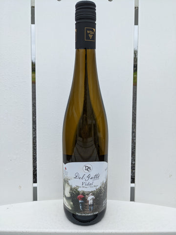 2023 Vidal VQA Ontario